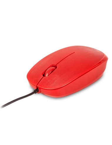 Raton ngs wired flame optic amb cable...