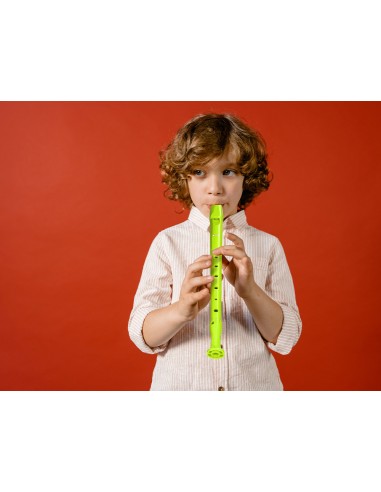 Flauta hohner 9508 color verd funda...