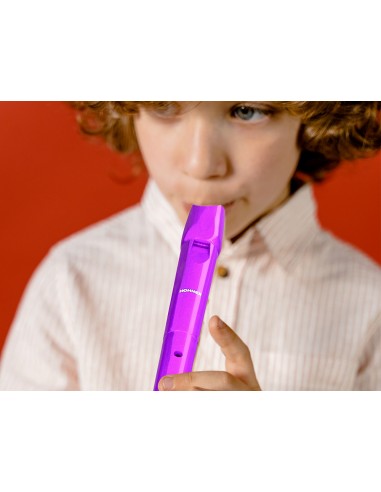 Flauta hohner 9508 color violeta...