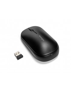 Ratolí kensington...