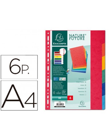 Separador exacompta cartolina simil...