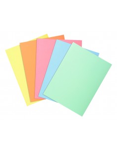Subcarpeta cartulina... 2