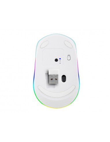 Ratol ngs smog optic 1000/1600/2400...