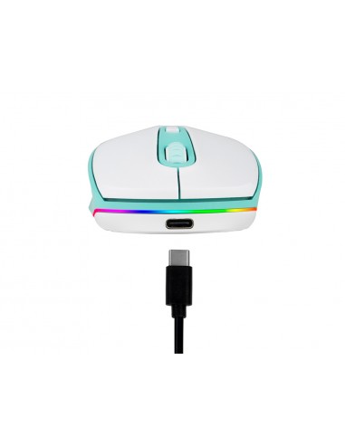 Ratol ngs smog optic 1000/1600/2400...