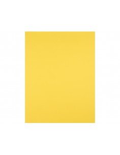 Cartulina liderpapel 50x65... 2