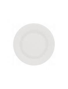 Plato papel reciclable... 2