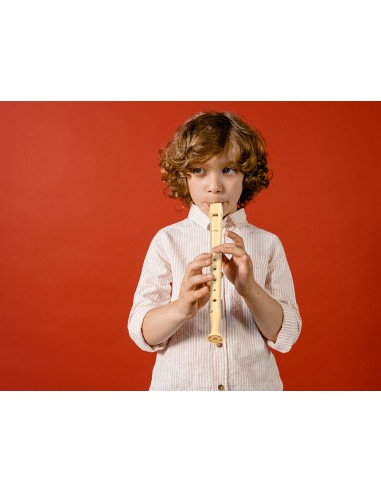 Flauta hohner 9508 color marfil funda...