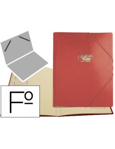 Carpeta clasificador carton...