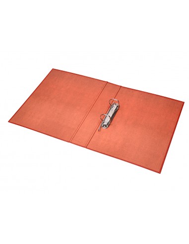 Carpeta de 2 anillas 25mm mixtas...