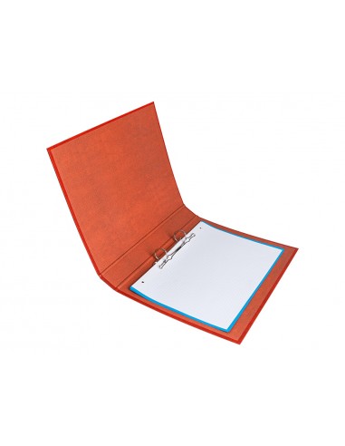 Carpeta de 2 anillas 25mm mixtas...