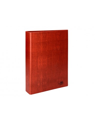 Carpeta de 2 anillas 25mm mixtas...