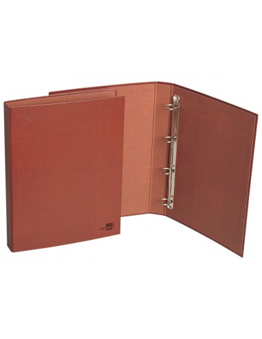 Carpeta de 4 anillas 25mm mixtas...
