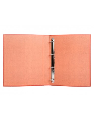 Carpeta de 4 anillas 25mm mixtas...