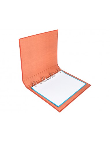 Carpeta de 4 anillas 25mm mixtas...