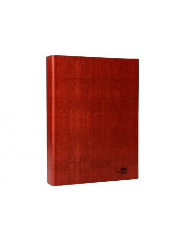 Carpeta de 4 anillas 25mm mixtas...