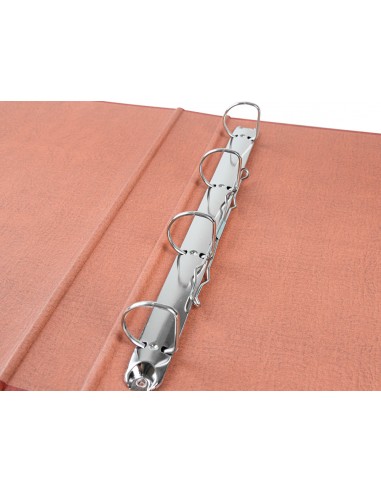 Carpeta de 4 anillas 25mm mixtas...