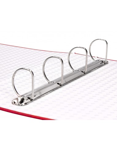 Carpeta de 4 anillas 40mm mixtas...