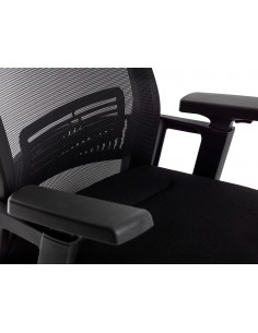 Cadira de direcció... 2