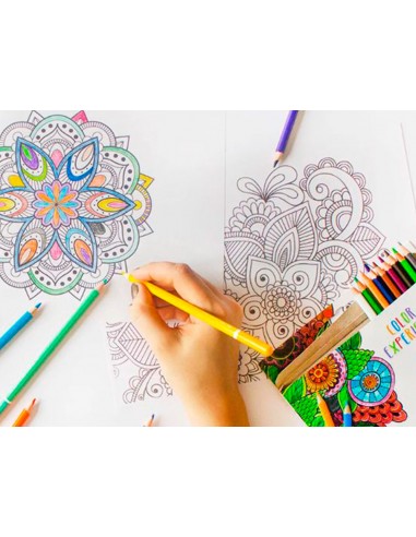 Set de dibuix alpino color experience...