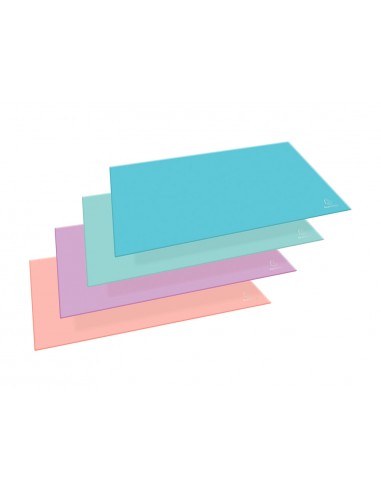 Cop de sobretaula exacompta aquarel...