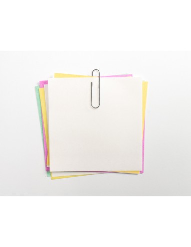 Clips liderpapel nº3 labiados 43 mm...