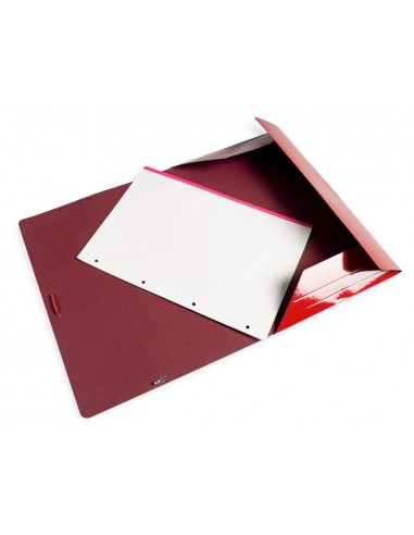 Carpeta liderpapel gomas folio 3...