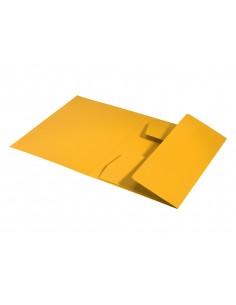 Subcarpeta leitz recycle... 2