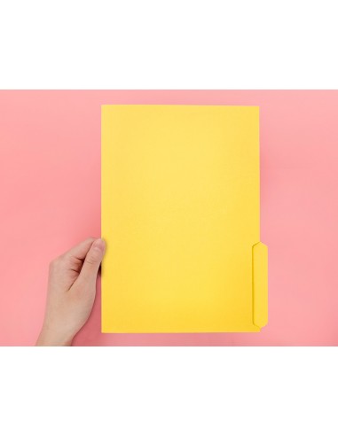 Subcarpeta cartulina liderpapel folio...