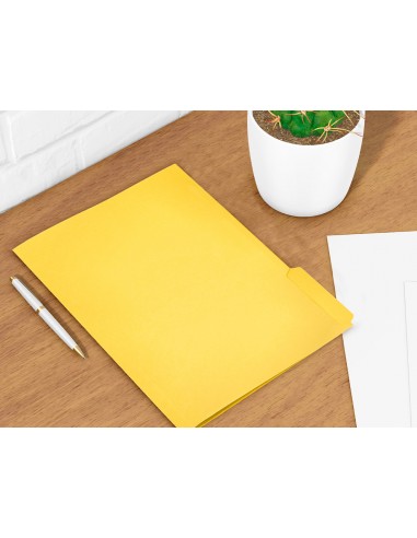 Subcarpeta cartulina liderpapel folio...