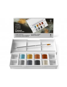 Acuarela winsor&newton caja... 2
