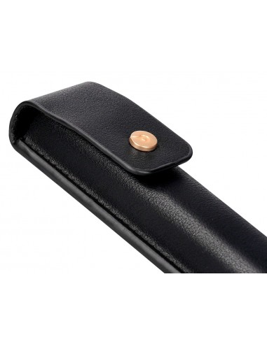 Pluma y estuche cuero belius passion...