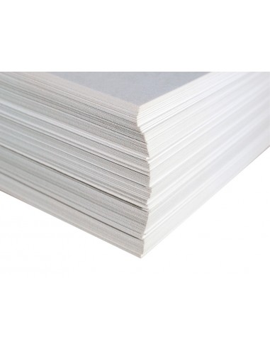 Paper dibuix liderpapel 297x420 mm...