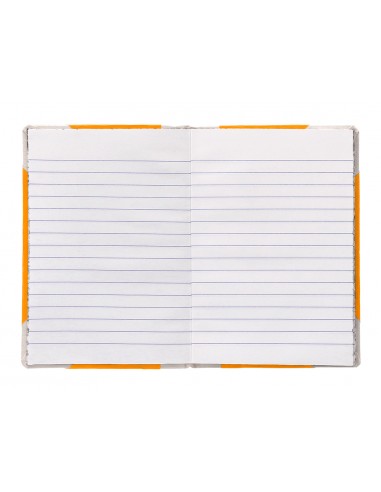 Llibre cartone cosit fernandes fletxa...