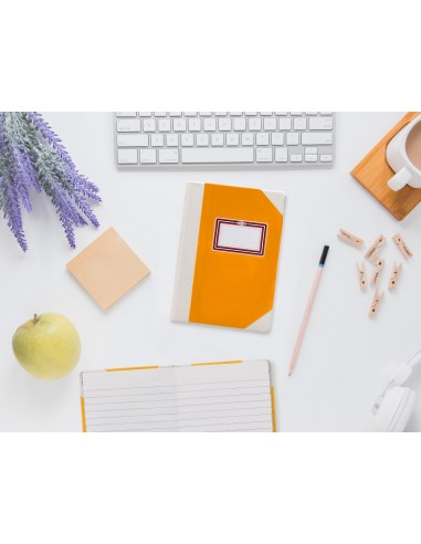 Llibre cartone cosit fernandes fletxa...